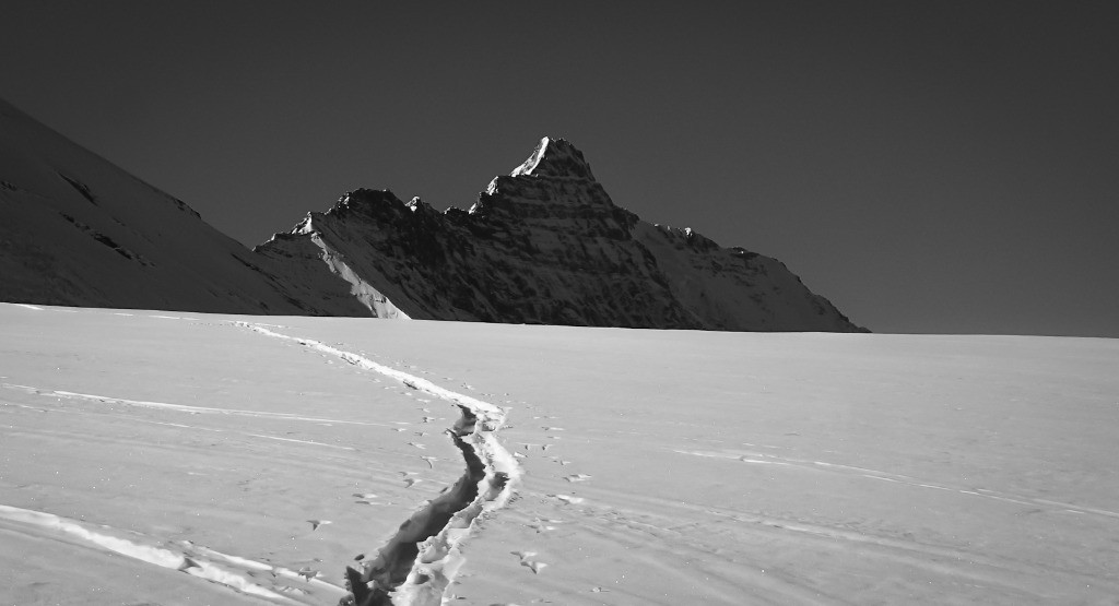 Là on dirait que c'est sauvage (en fait non)