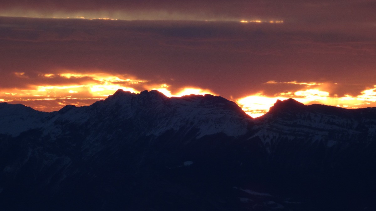 #20 flambée vertaco flambée vertaco