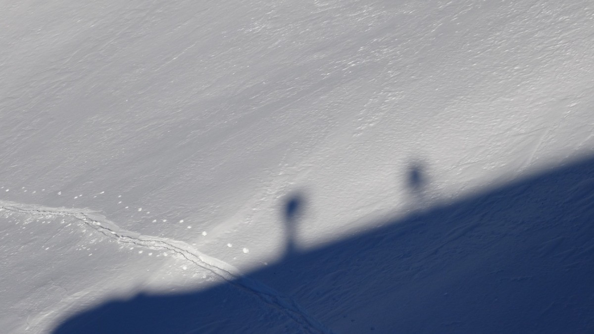 #3 ombres chinoises ombres chinoises