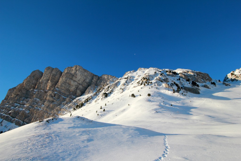 #1 Agnellerie et pas de la Ville Agnellerie et pas de la Ville