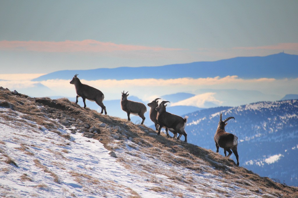 #2 Face Ouest :-( Face Ouest :-(