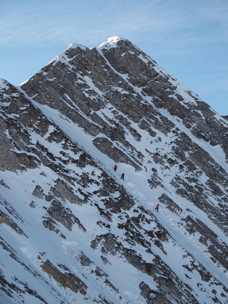 #1 Les chercheurs d Les chercheurs d'or (blanc)