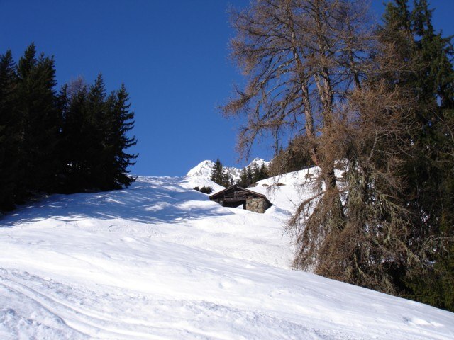#1 Le Crêt (1750 m) : Sortie de la forêt Le Crêt (1750 m) : Sortie de la forêt
