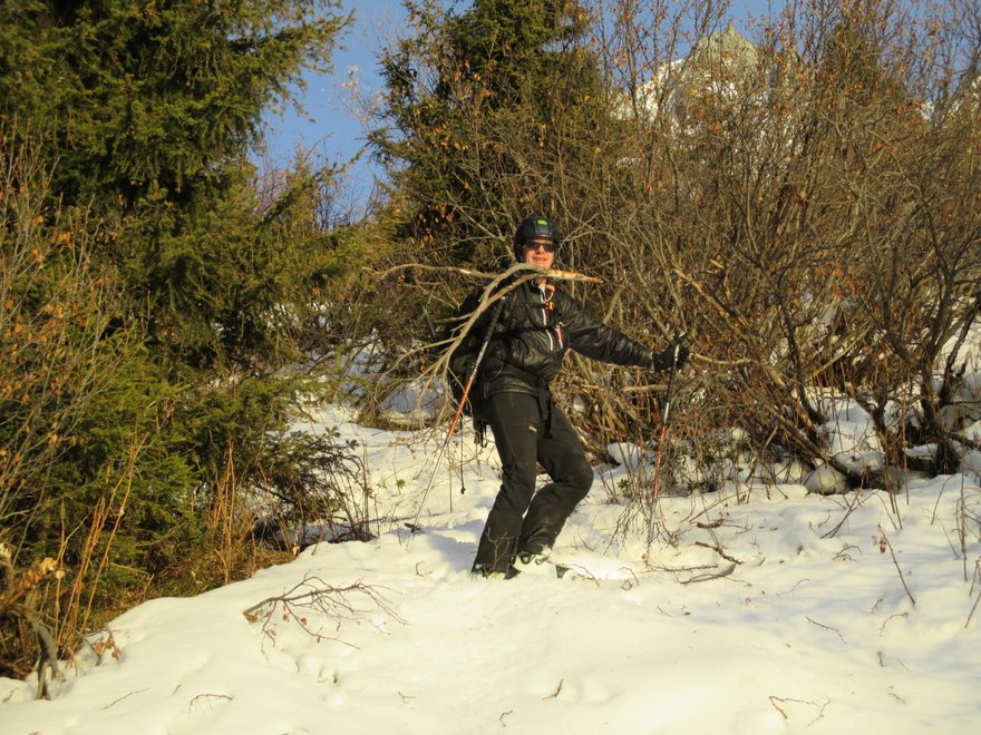 #19 Les forêts des Bauges lui manquent tant... Les forêts des Bauges lui manquent tant...