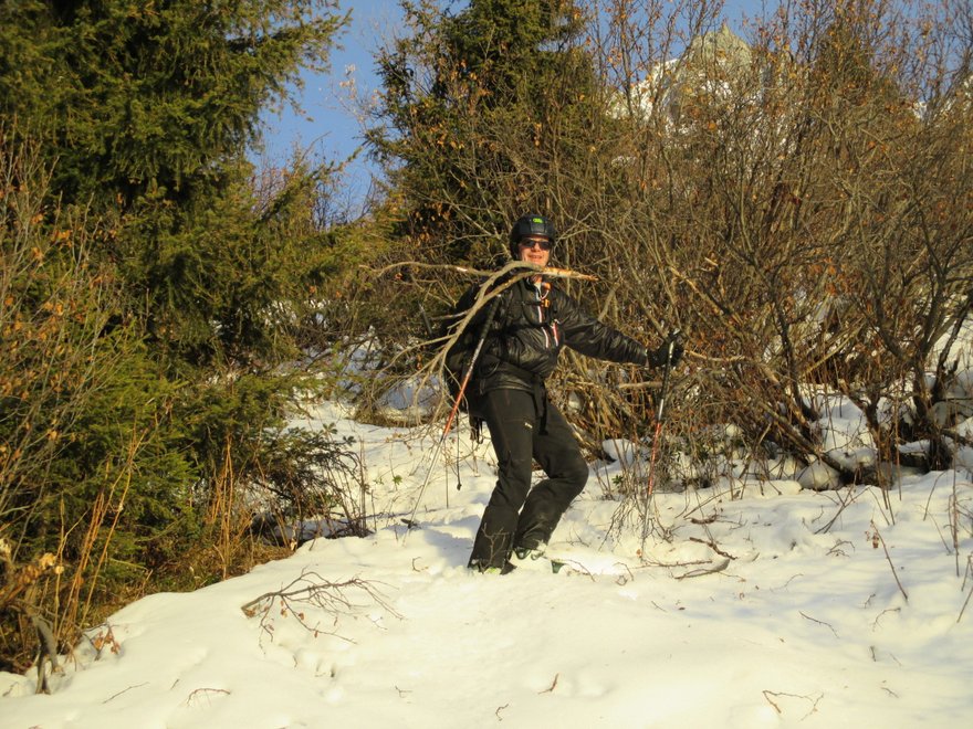 Les forêts des Bauges lui manquent tant...