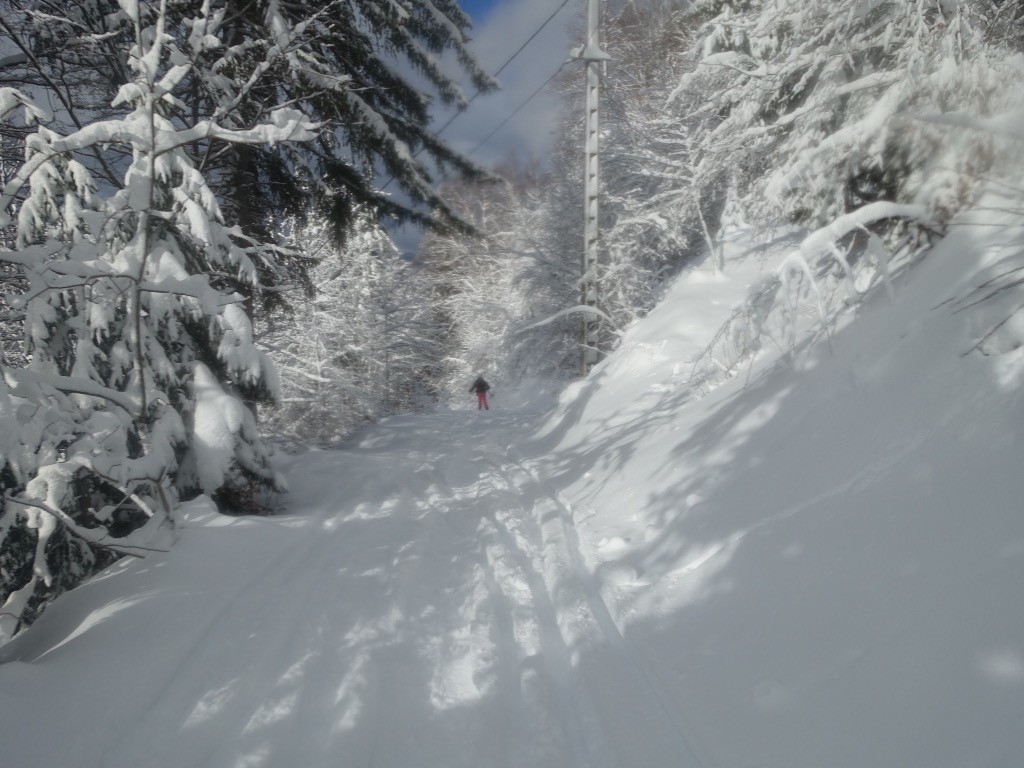 #3 Chemin bien enneigé Chemin bien enneigé
