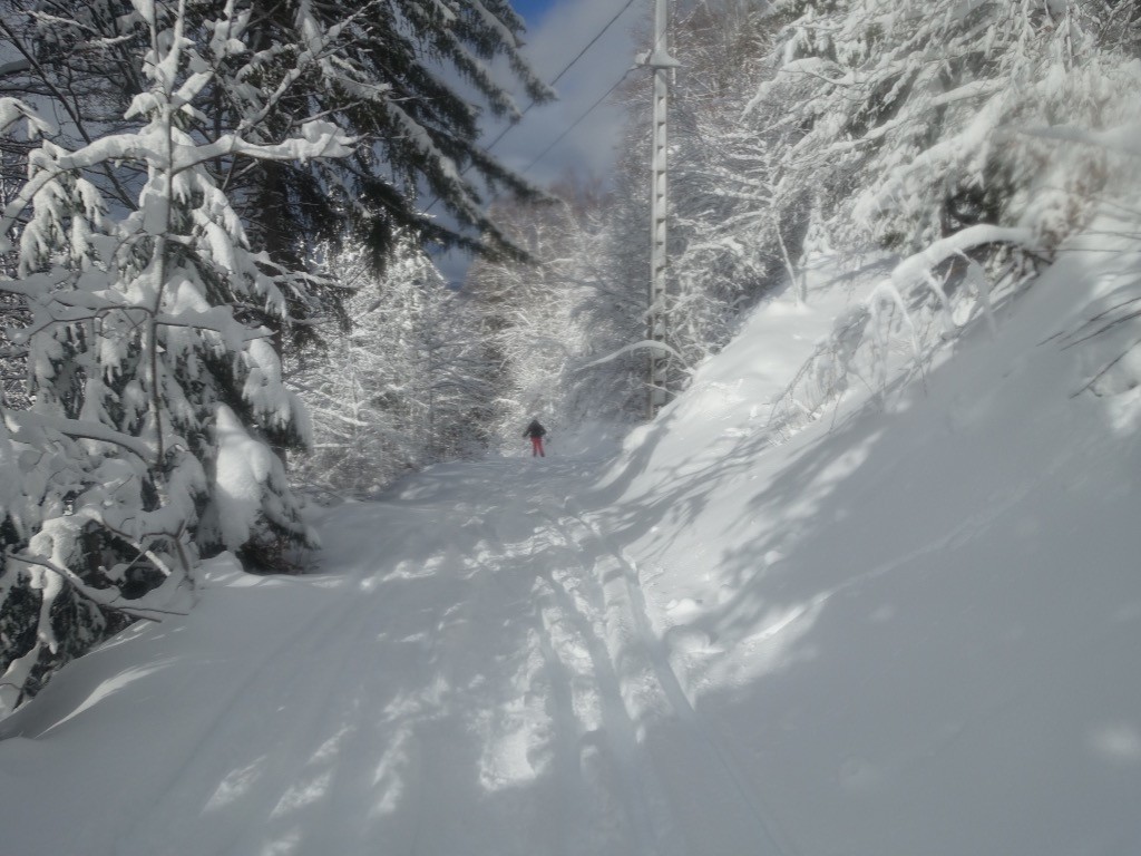 Chemin bien enneigé 