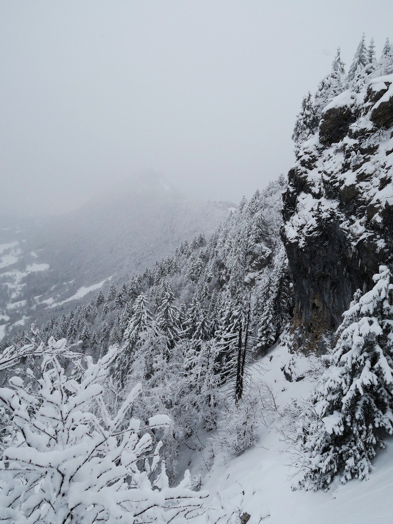 #9 grand Raya grand Raya