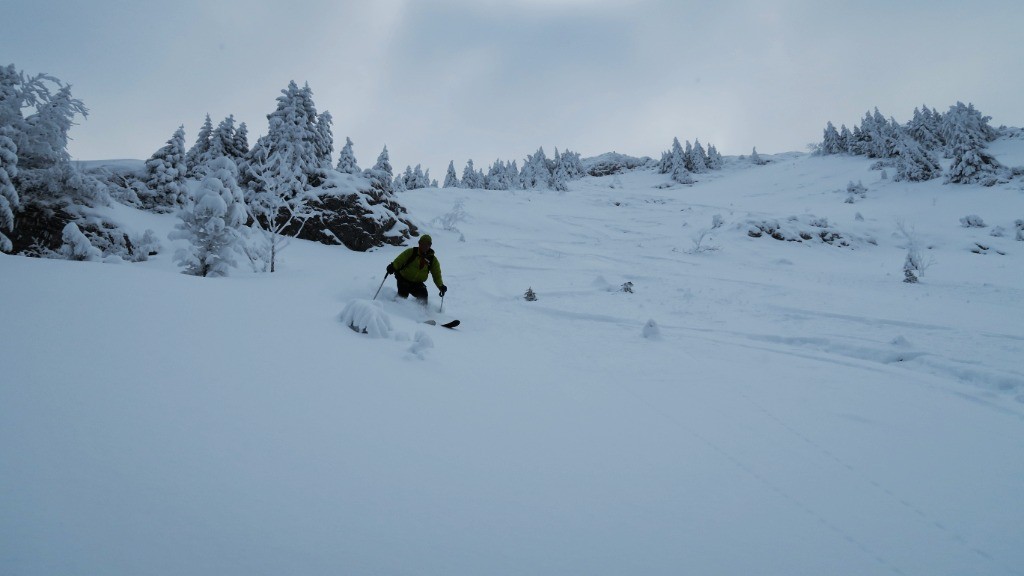 #7 face nord face nord