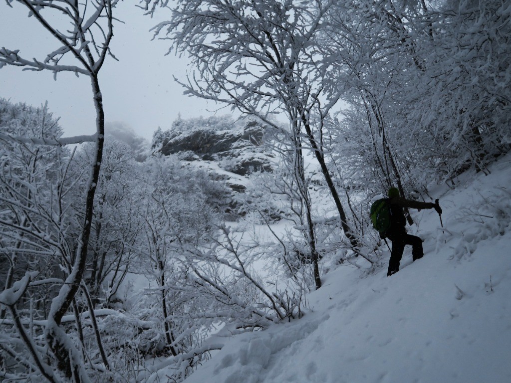 #15 remontée remontée