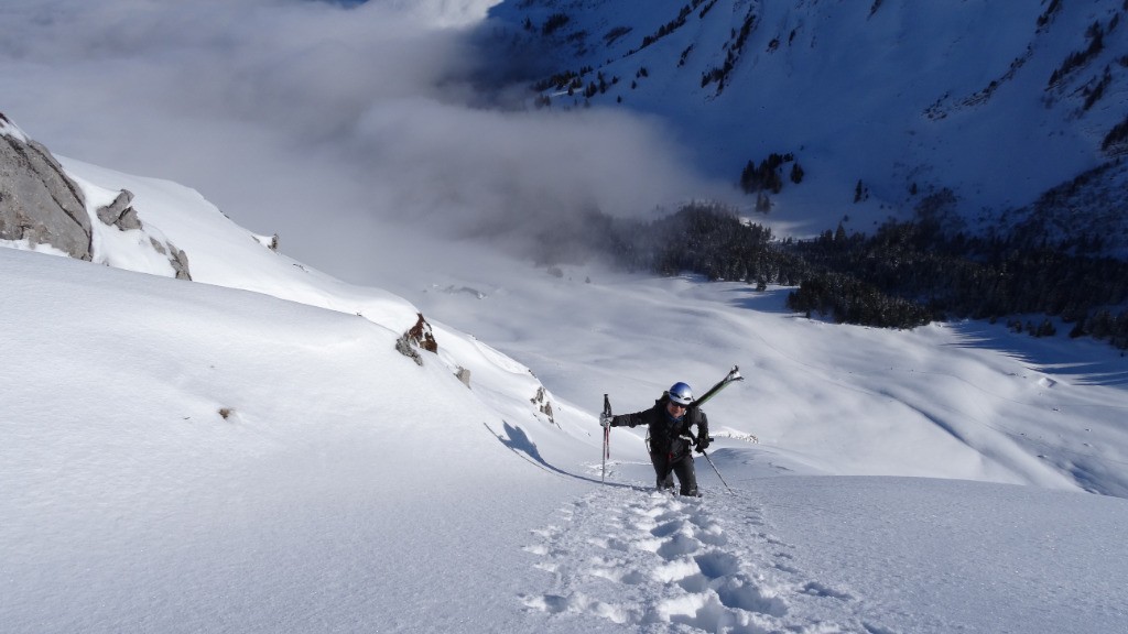 #4 bon brassage et sortie bon brassage et sortie