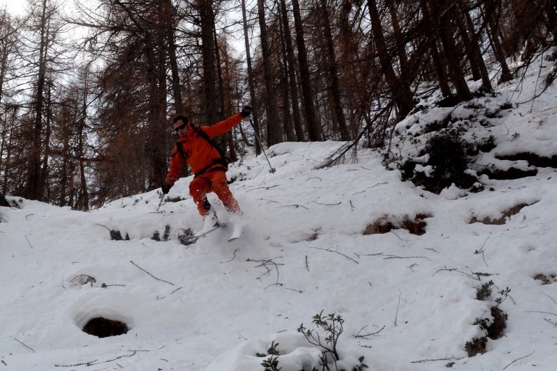 #10 En forêt : on sort les cuisses. (c) Lorenzo En forêt : on sort les cuisses. (c) Lorenzo
