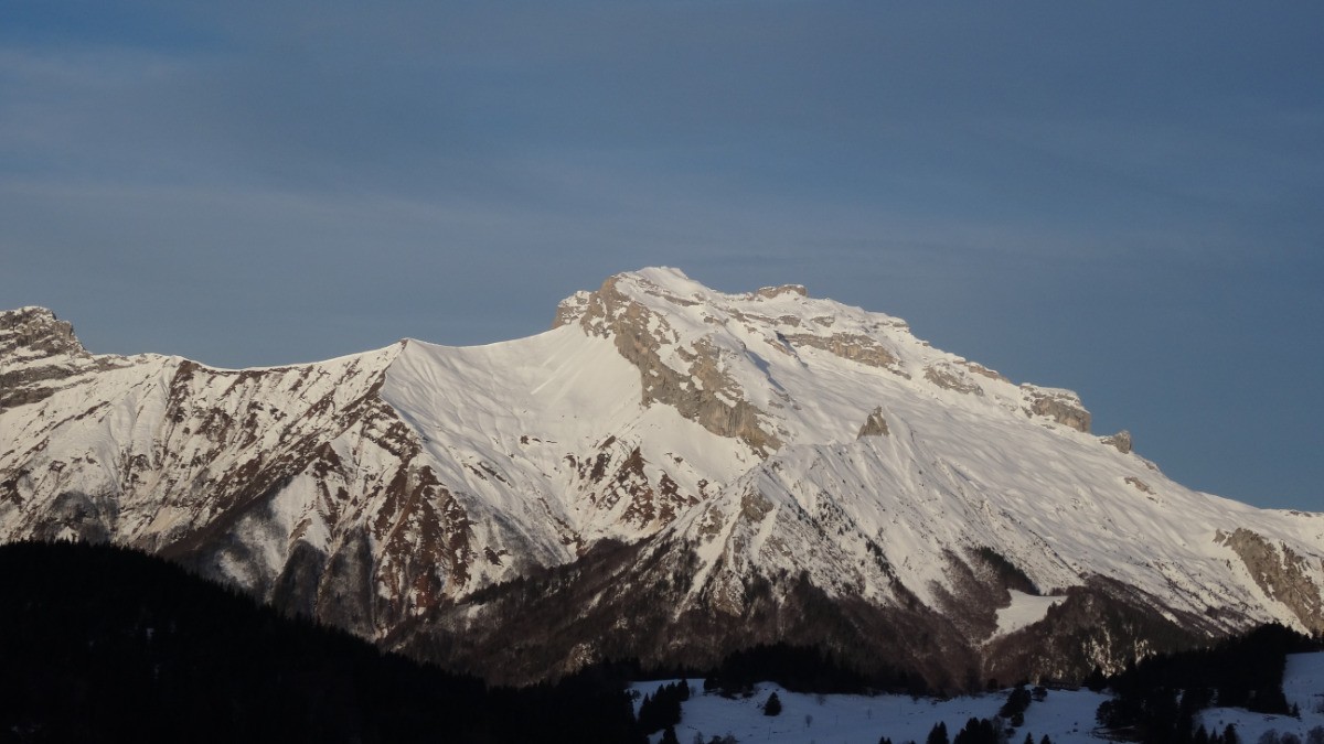 #1 Tournette du matin Tournette du matin