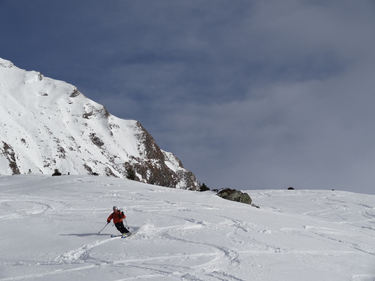 #17 Toz batifole dans les prairies ! Toz batifole dans les prairies !