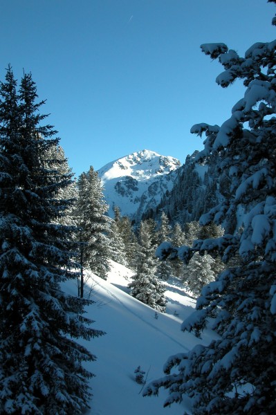 #1 Le Grand Colon : Enfin des paysages d Le Grand Colon : Enfin des paysages d'hiver