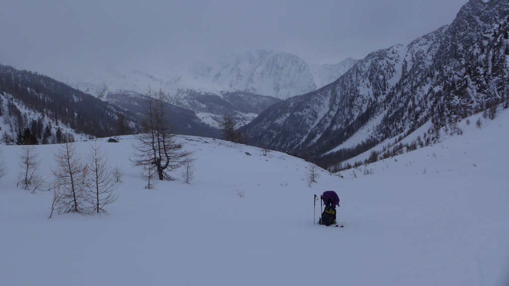 #3 Derrière c Derrière c'est très gris