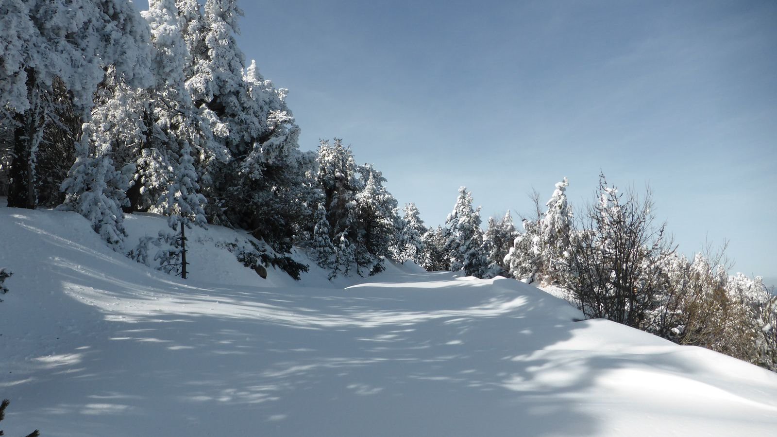 #8 Remontée, piste forestière Remontée, piste forestière