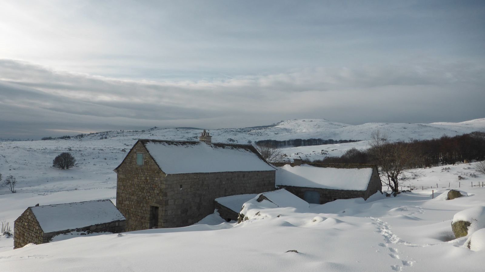 #14 Mas Camargues Mas Camargues