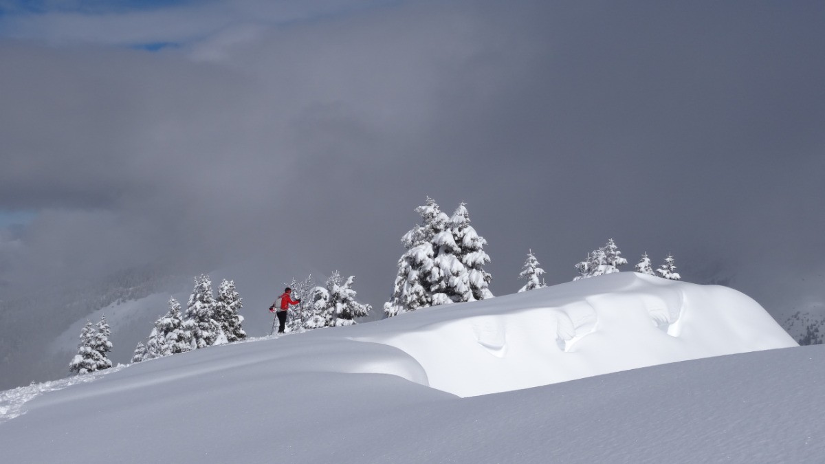 #7 Roc D Roc D'Arguille