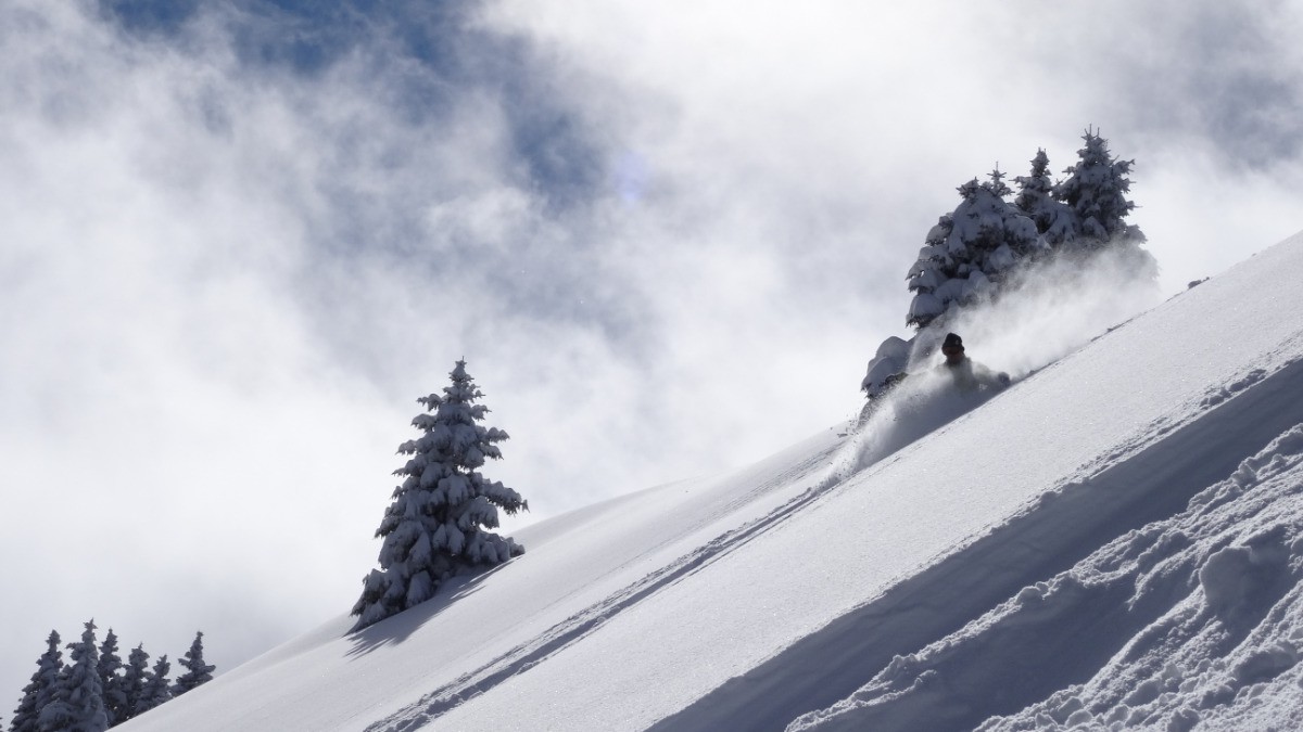 #9 Repoudre Repoudre