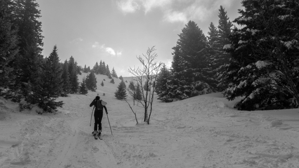 #1 Vers brouffier Vers brouffier