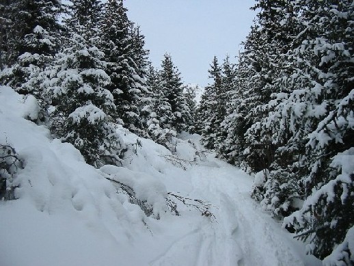 Ferrouillet 1700 : En sortant de la forêt