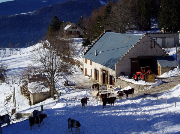 #7 Le vercors rural : Ferme typique du vercors avec ses toits caractéristiques; randonneurs, respectez, SVP, les autochtones si vous voulez que ce type de randonnées perdurent... Le vercors rural : Ferme typique du vercors avec ses toits caractéristiques; randonneurs, respectez, SVP, les autochtones si vous voulez que ce type de randonnées perdurent...