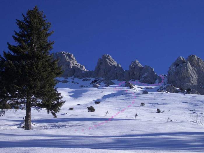 #1 Les Lances de Malissard : Vue de l Les Lances de Malissard : Vue de l'itinéraire en sortant de la forêt au desus du col de la Saulce.