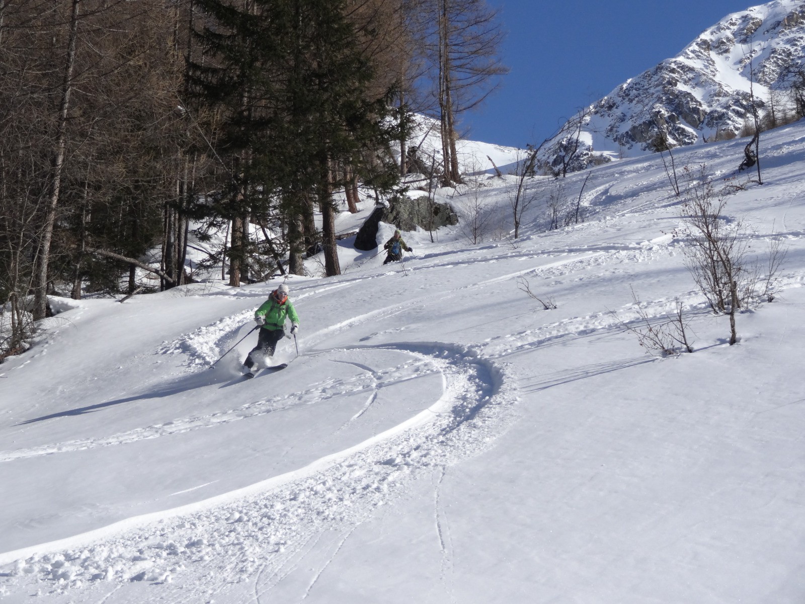 #12 Forêt de Mélèze Forêt de Mélèze