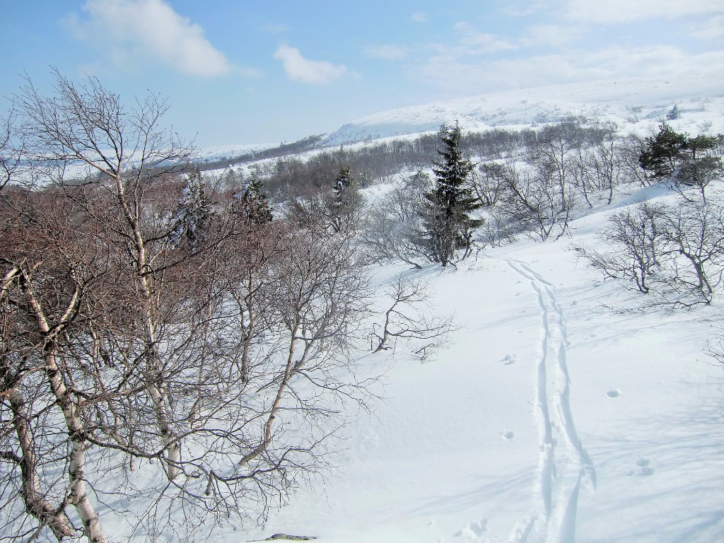 Ski aux abords de la forêt de Chioloups.