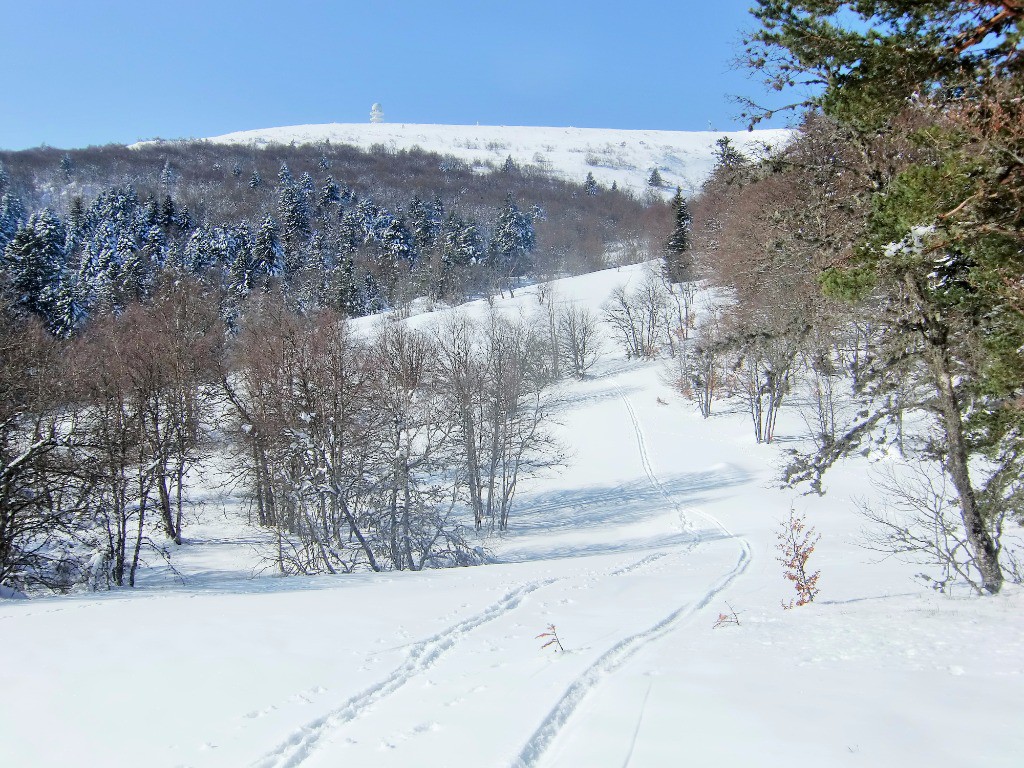 Vallon des Mortes...et son ruisseau.
