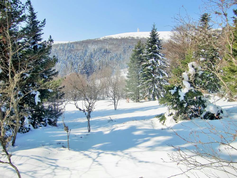 Panorama en sortant de la piste du renard...
