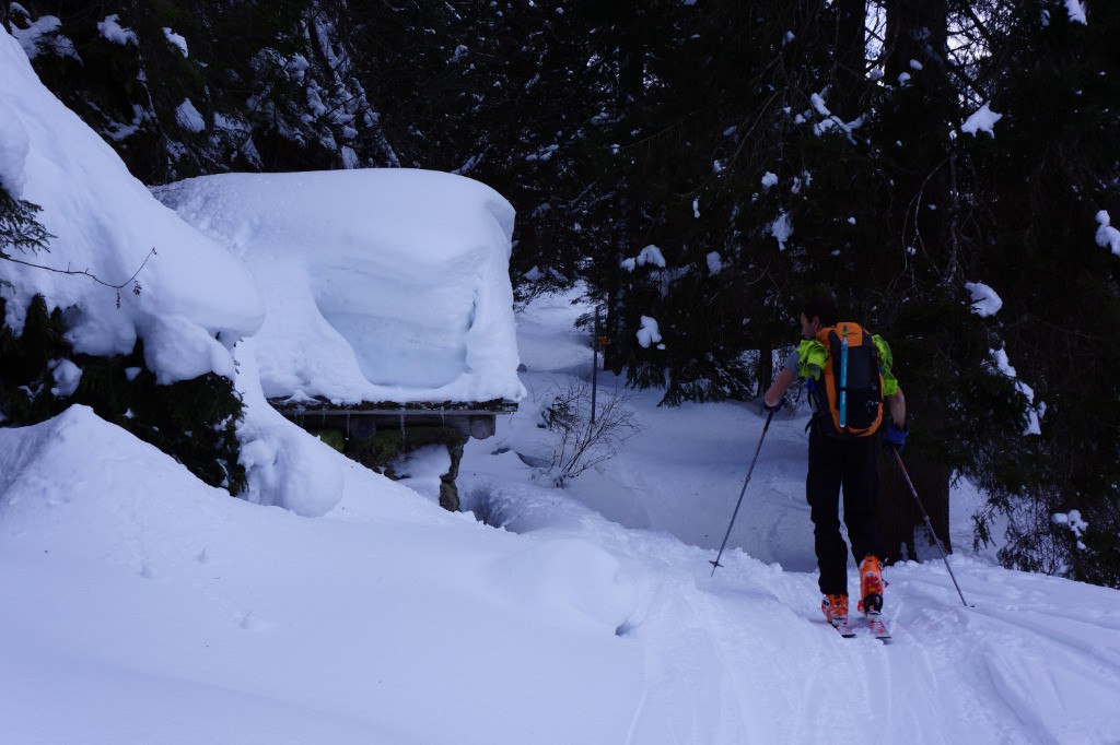 Nivose 1500m en montant vers Mutthornhutte