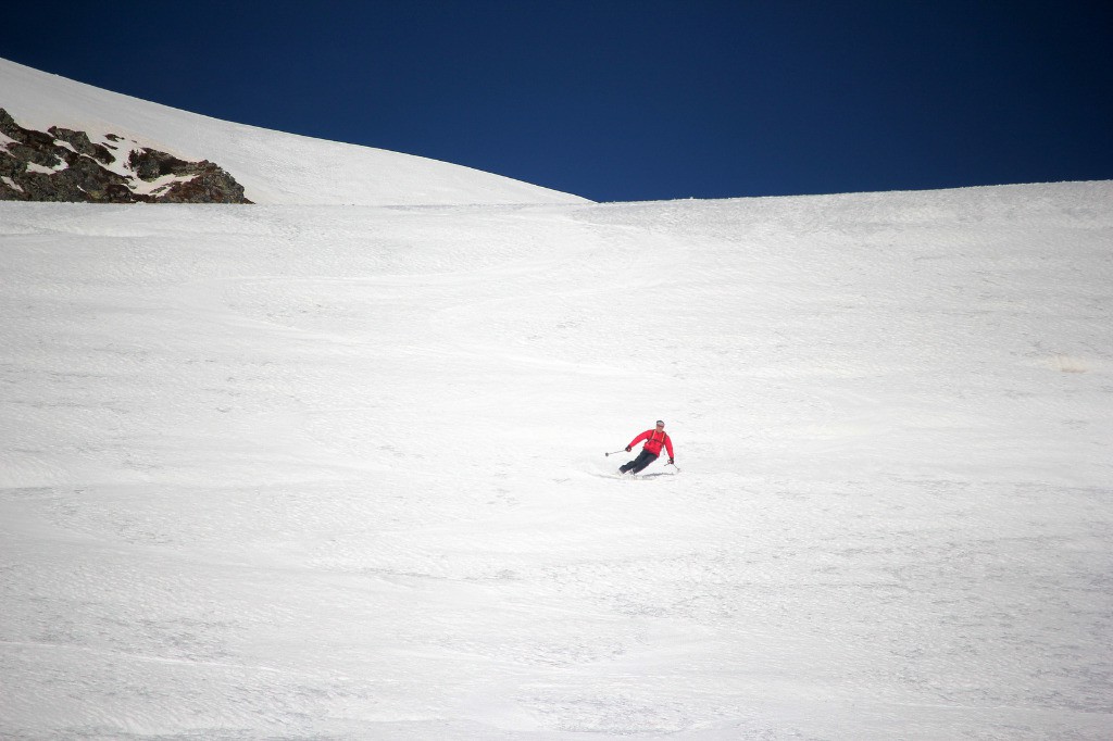 #5 Divine Moquette de haut en bas Divine Moquette de haut en bas