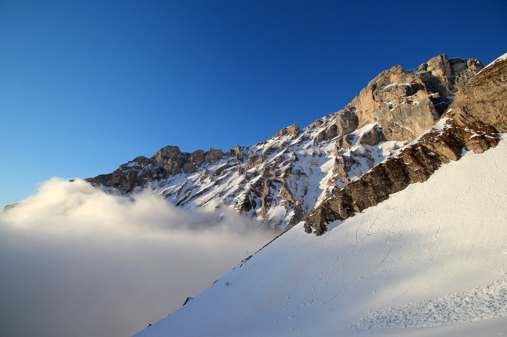 #2 Tête des Ombres Tête des Ombres