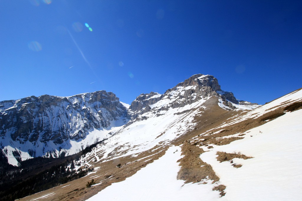 #12 Tête de Lapras et Obiou Tête de Lapras et Obiou