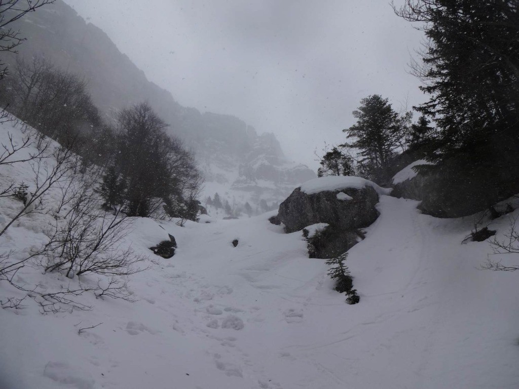 #3 le bas de la combe sauvage : encore bon ! le bas de la combe sauvage : encore bon !