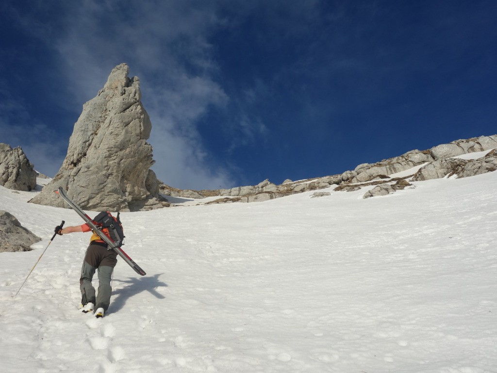 #4 Mini Dent Mini Dent