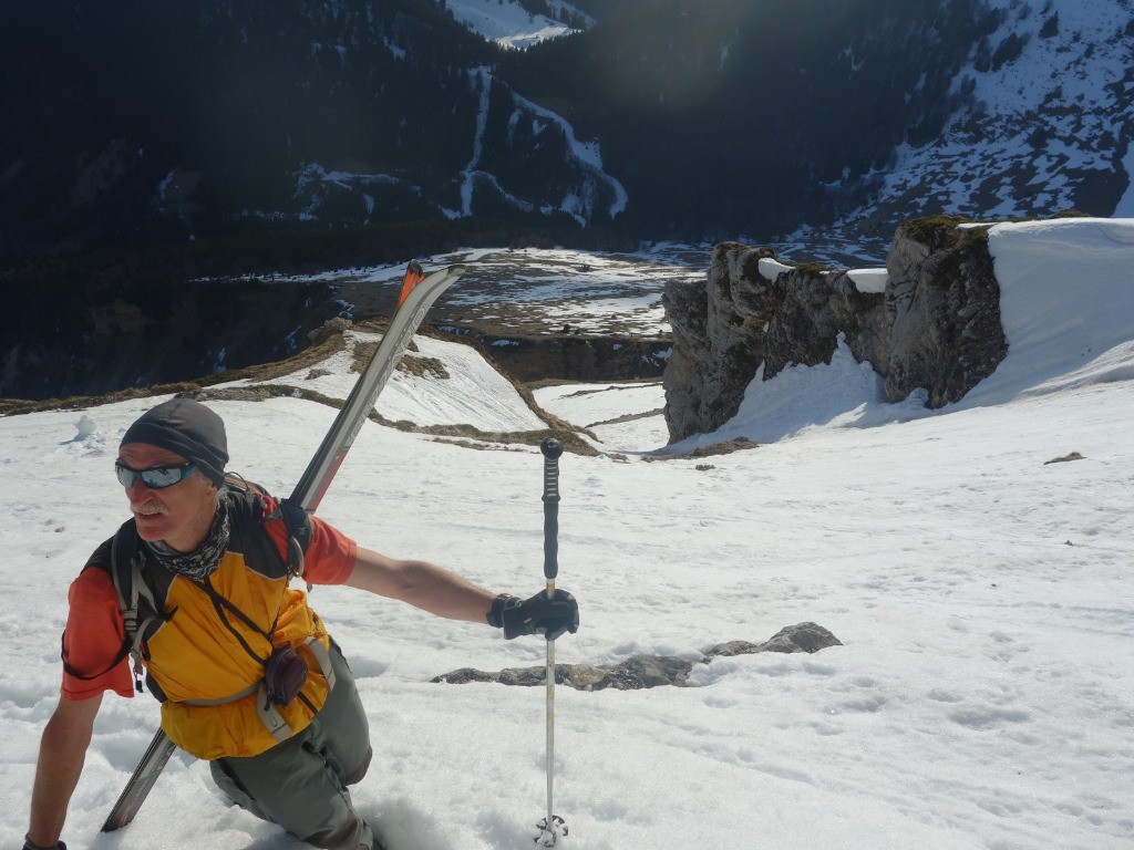 #2 Jo me fait découvrir son jardin... Jo me fait découvrir son jardin...