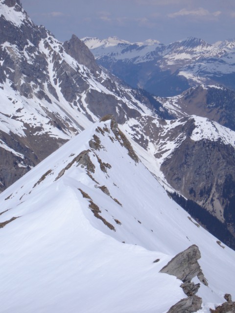 #10 A la descente : Le Pommier Blanc A la descente : Le Pommier Blanc