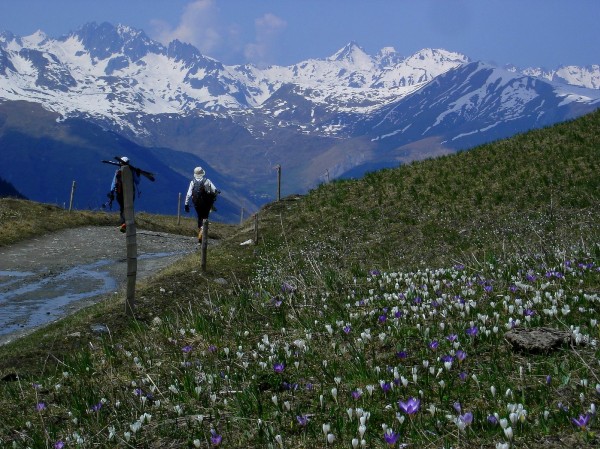 #7 Epaisseur : Fin du ski face aux Aiguilles de l Epaisseur : Fin du ski face aux Aiguilles de l'Argentière et Arguille.