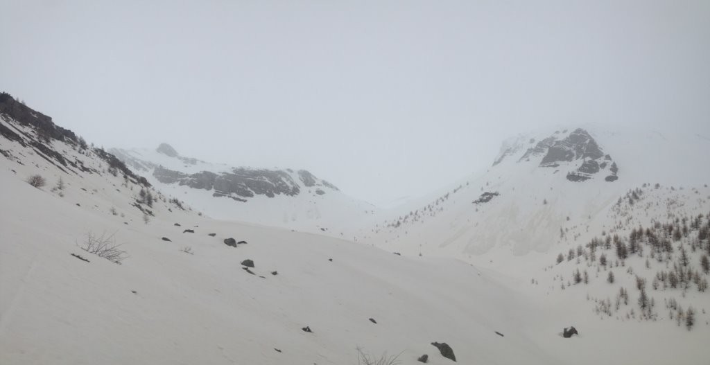 Dégradé de blanc sableux...