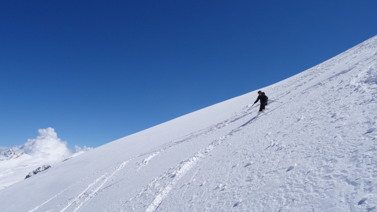 #23 poudre tassée poudre tassée