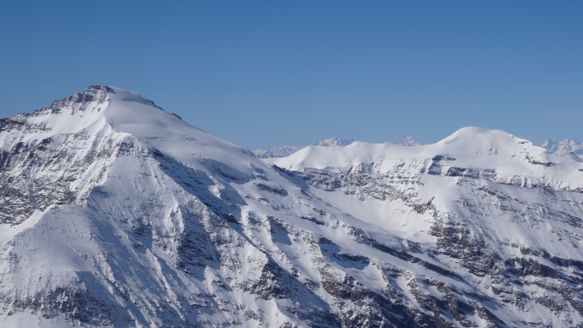 #12 Charbonnel et Ronce Charbonnel et Ronce