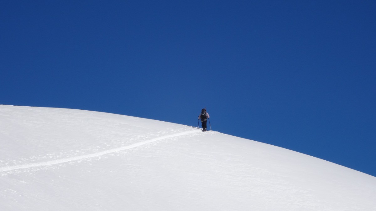 #7 Grand bleu Grand bleu