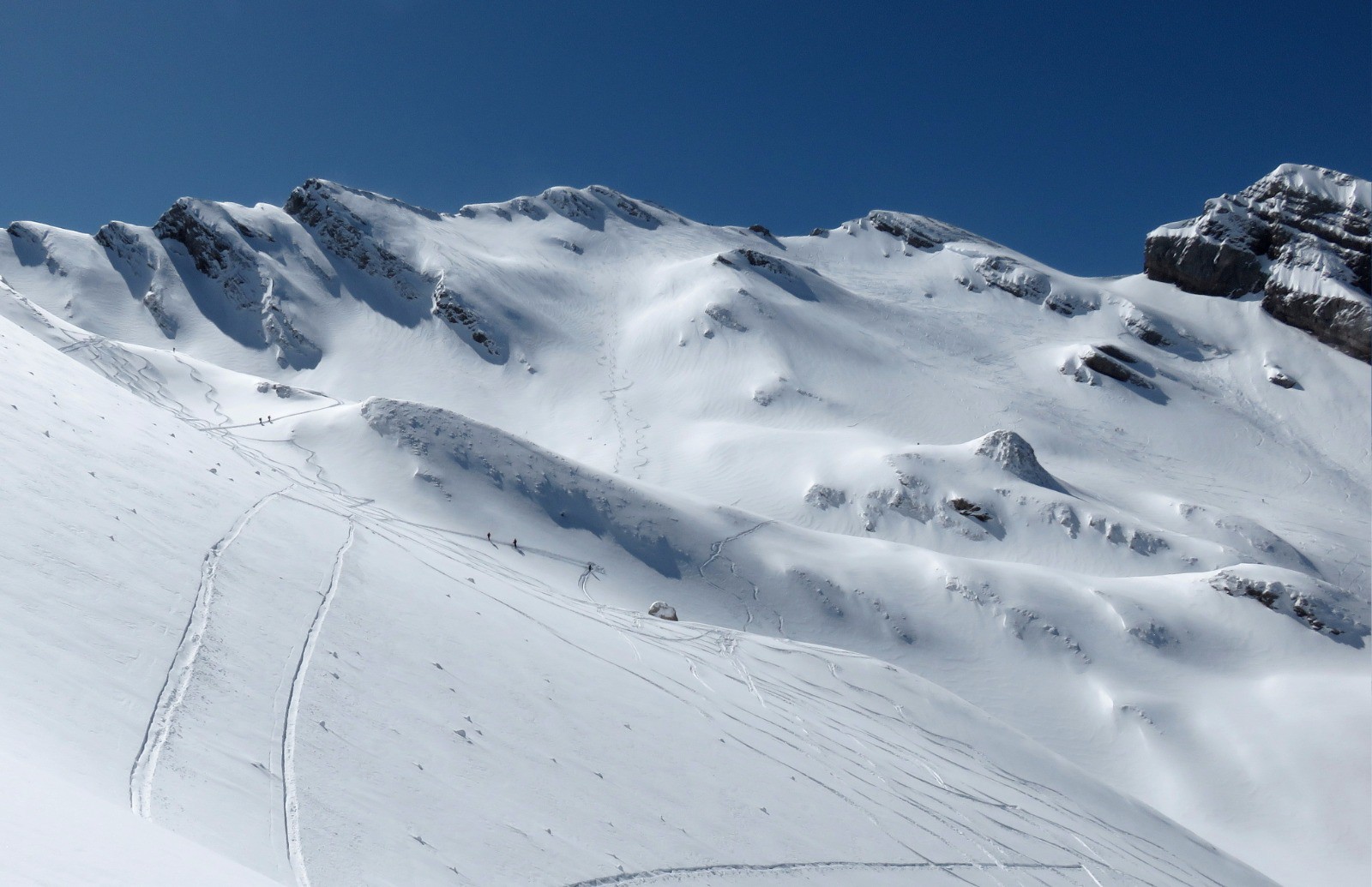 #9 Tête Pelouse Tête Pelouse