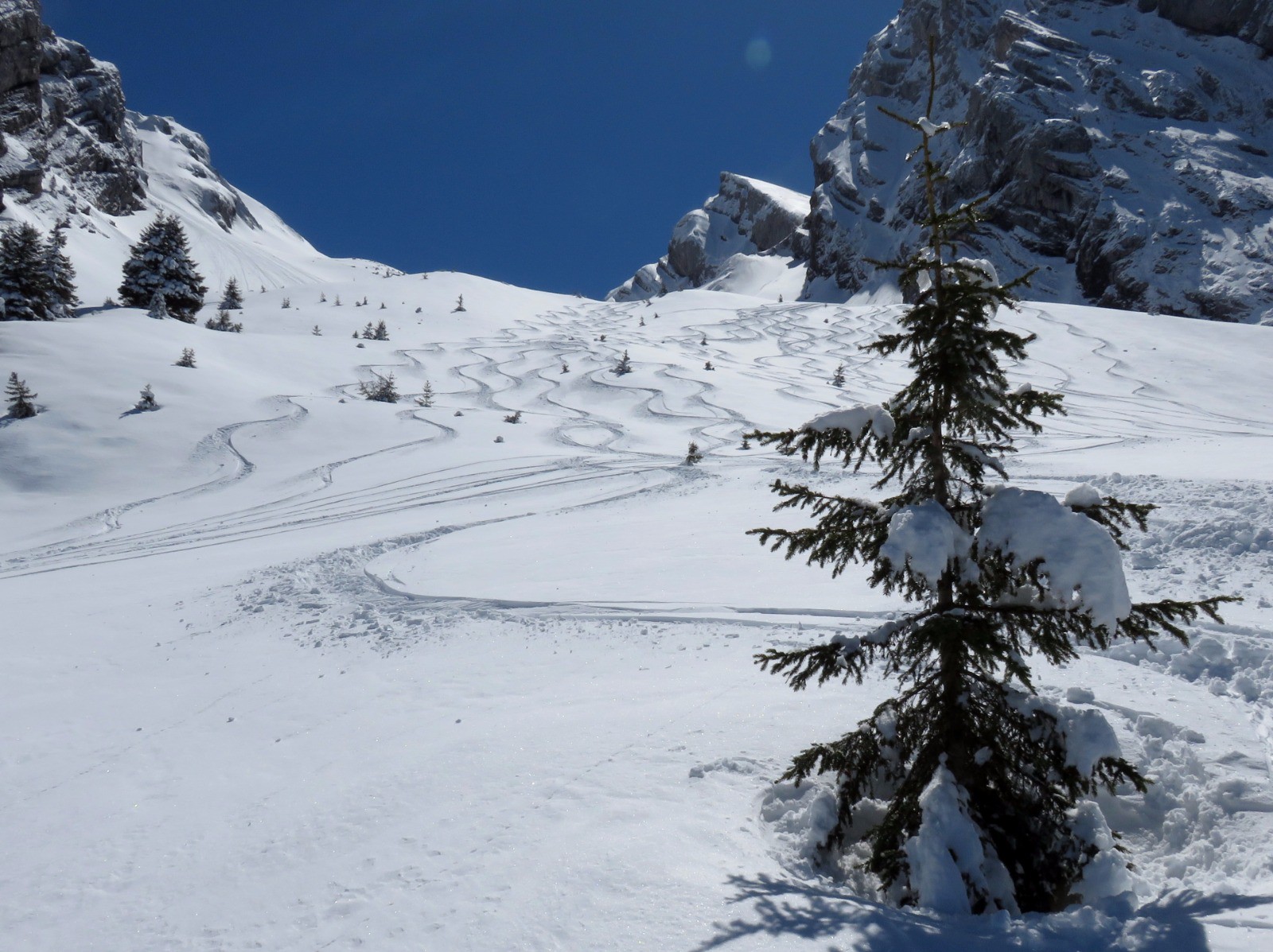 #14 Très bonne neige sous 2000 m Très bonne neige sous 2000 m
