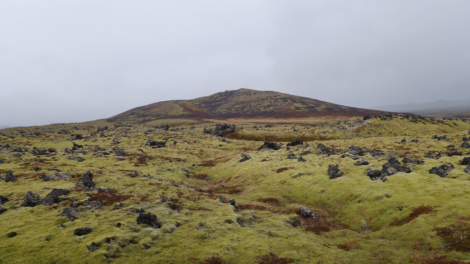 Couleurs locales sur les flancs du Snaefellsjokull