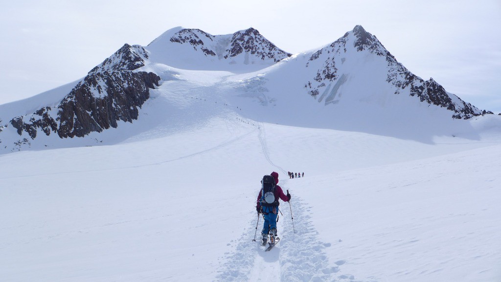 Wildspitze, objectif en vue