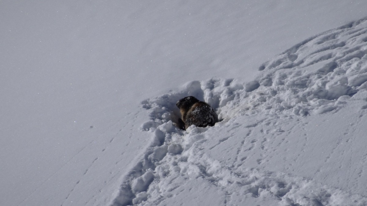 #1 grosse memere sort de son trou grosse memere sort de son trou